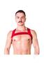 Prowler Red Sports Harness - Large/xlarge -red
